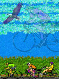 1Bicycle-Scatting-comp.jpg (115590 bytes)