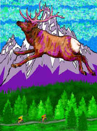 1Elk-in-the-Sky-comp-2a.jpg (94219 bytes)