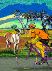 1Goat-Bike-5-V.jpg (94856 bytes)