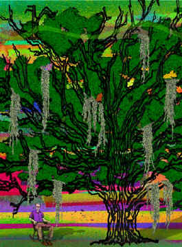 6-Live-Oak-series-12a.jpg (79277 bytes)
