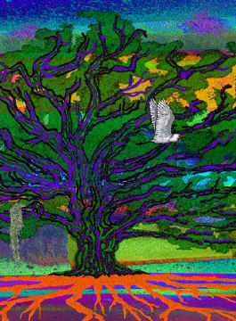 6-Live-Oak-series-14--2a.jpg (78965 bytes)
