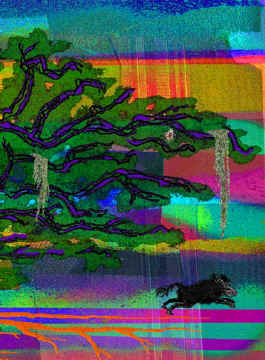 6-Live-Oak-series-14--3a.jpg (67234 bytes)